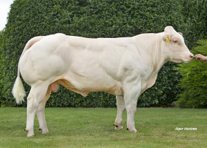 Boet van de Graashook