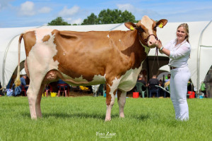 Wilskracht Mohawk Red PP